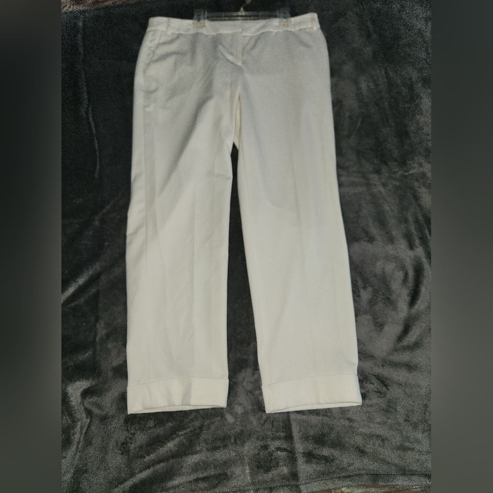 Express Editor Pants Size 10 - image 3